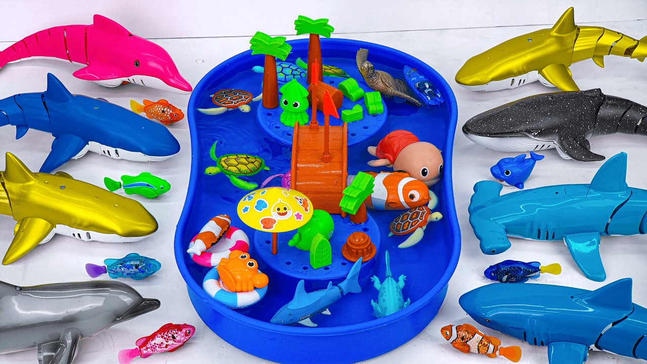 toy asmr | Baby Shark & Zuru Robo Shark &Aquarium Playset ASMR Satisfying with Unboxing | Review Toy