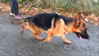 Oxane Von Turia Drimas - Movement