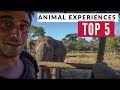 Our Best 5 Animal Experiences In 7 Years Of Travel | Refried Beans 1