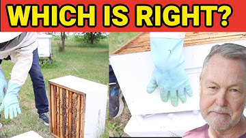 Beekeeping 101: Proper Box Placement During Inspections