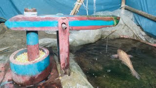 water powered pounder corn live