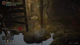 Could this be the "Hidden path ahead"