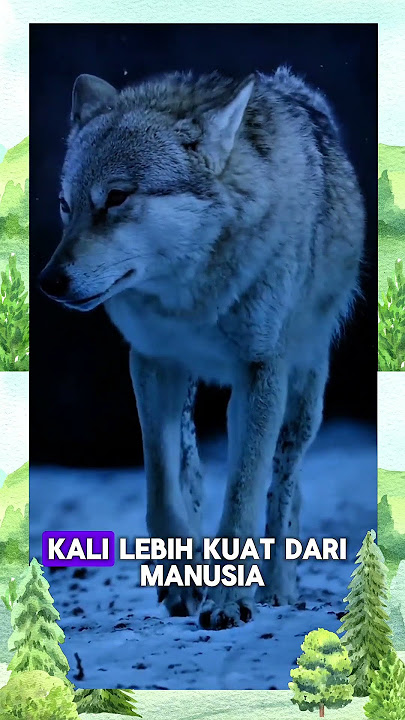 Fakta Mengejutkan Serigala 🐺 Bukan Teriak ke Bulan! #funfacts #facts #animals