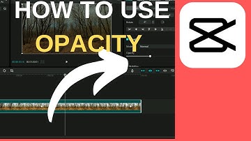How To Use Opacity on CapCut| How To Change Opacity in CapCut PC | Windows & MacBook