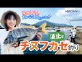 波止でチヌフカセ釣り「阪本智子のエンジョイフィッシング」