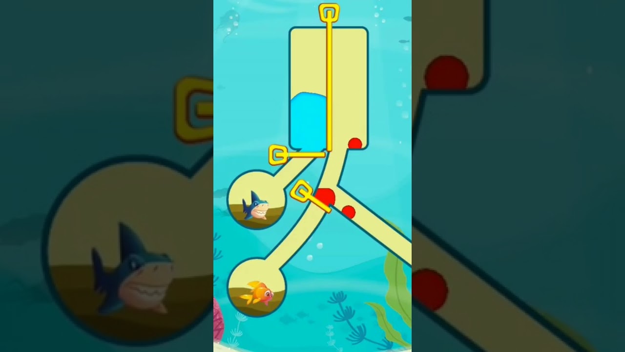 Noob Play Game On Save The Fish And Win 