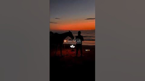 انشر القرأن فالدال على الخير كفاعله ،،،، القارئ محمد اللحيدان ،،😥😥😥😥
