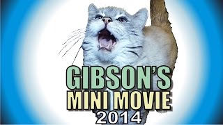 Gibson's Mini Movie - 2014