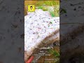 بردية الوادي الطالع السوده شمال غرب ابها منطقة عسير عصر اليوم الجمعة ٢٧ ذوالحجة ١٤٤٢