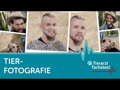 Tierfotografie | Tierarzt Tacheles mit Sebastian Goßmann-Jonigkeit | ZooRoyal