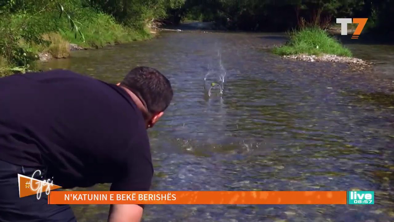 #gjesi: N'Katunin e Bekë Berishës | T7