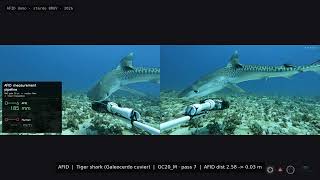extended afid demo v008 1080p