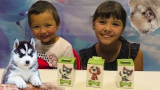 Свит Бокс ! Sweet Box ! Пушистики Коробочки Сюрпризы Обзор Распаковка Игрушек Видео для детей Свит Бокс ! Sweet Box ! Пушистики Коробочки Сюрпризы Обзор Распаковка Игрушек Видео для детей