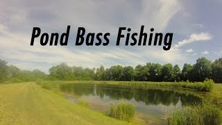 Post Spawn Bass Fishing (Topwater Fishing)