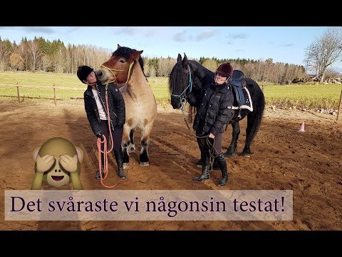 Video: Vad är Friser