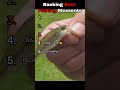 Ranking Best Fishing Moments #fails #fishing #shorts