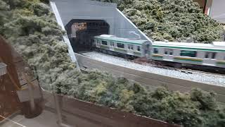 マイクロエース E231系 東海道線直通