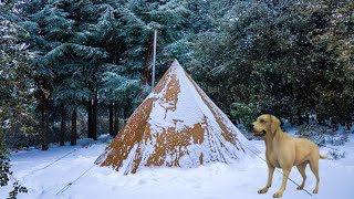 Solo Bushcraft Camping in Snow Storms Video Compilation