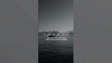 سبح اسم ربك الاعلى - القارئ { ماهر المعيقلي } 😌