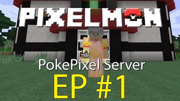 Minecraft | NEW SMP SERVER INTRODUCTION | PokePixels Episode 1