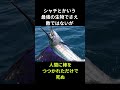 最弱の魚「カジキ」の雑学 #動物 #おもしろい #生き物 #shorts #魚 #雑学 #豆知識