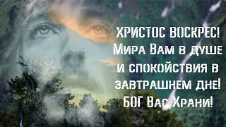 Христос Воскрес!  С Праздником Светлой Пасхи!