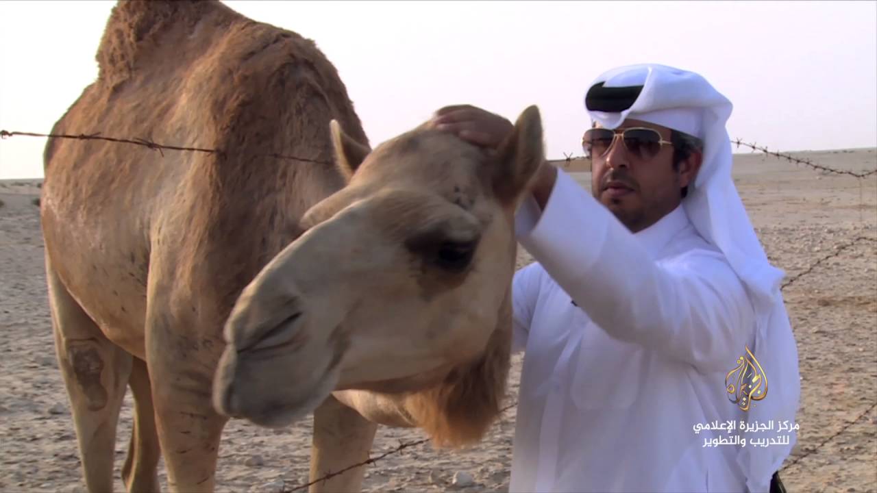 #أفلام_وثائقية من إنتاج المتدربين (بين بين )