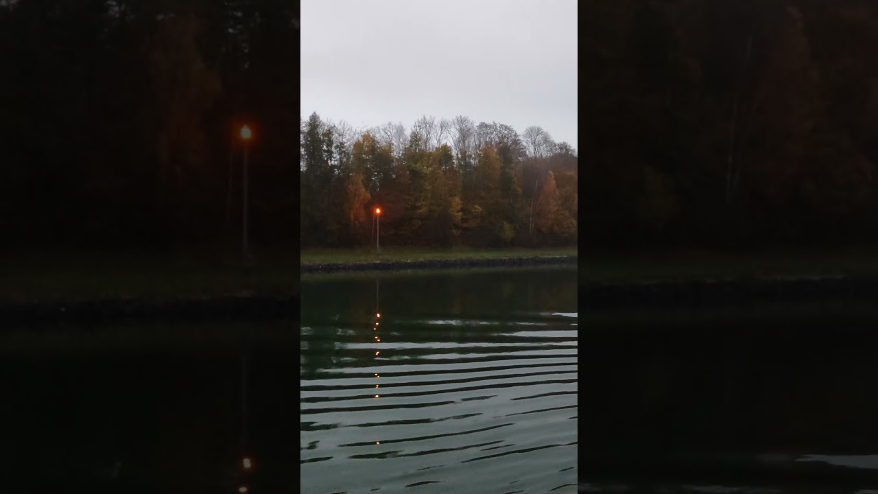 Autumn leaves 🍂 #autumn #winter #winteriscoming #relaxingmusic  #instrumental #nature