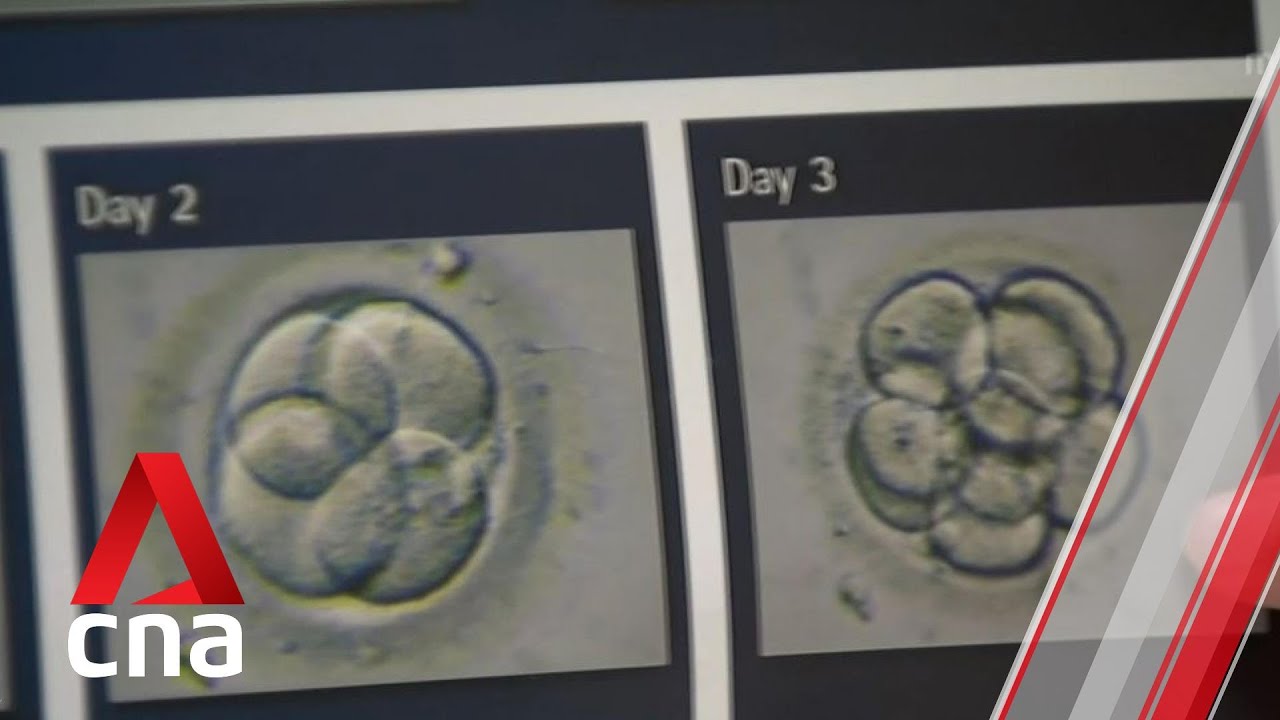High Attrition Rate Ivf