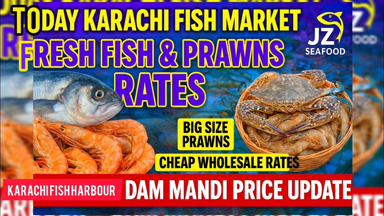 Today Karachi Fish Market Update | Fish & Prawns Latest Rate Price | Dam Mandi Today Rates