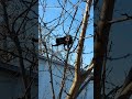 как страшно!