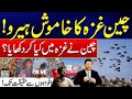 china ne ghaza mein kiya kar dikhya ? china ka khamosh hero