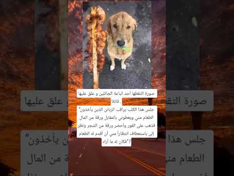 صورة التقطها أحد الباعة الجائلين و علق عليها قائلا