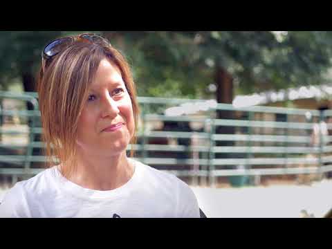 Military Veterans & Wild Horses...How they help each other.