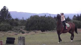 DSCF0359.AVI