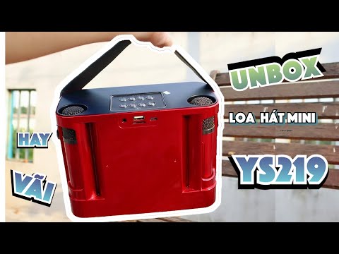 1. Giới Thiệu Về Loa Hát Mini