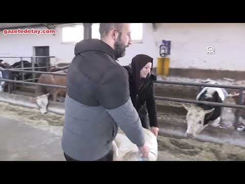 Sivas’ta kadın bankacılığı bırakıp besi çiftliği kurdu