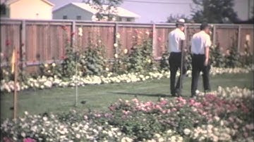 Ball Seed Field Day 1964