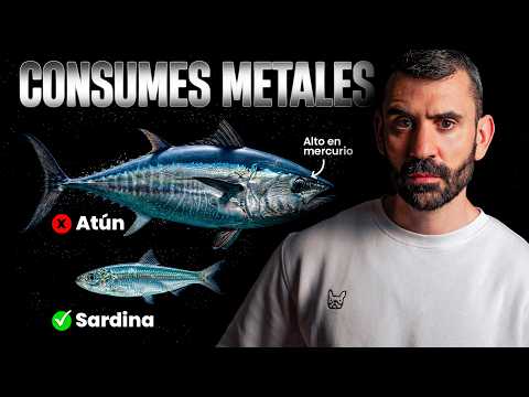 PESCADO AZUL: como evitar el mercurio y los METALES PESADOS!