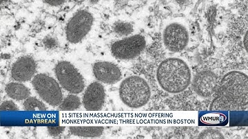 CDC reporting more than 1,900 cases on monkeypox in US, including 1 in NH