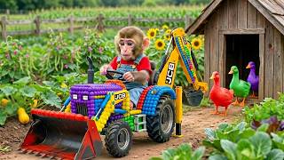 Music Video Monkey Rebuilds The Duck House After A Shocking Escape Jcb 3Cx Tractor Excavator Monkey