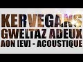 Kervegans  gweltaz adeux  aon ev  acoustique  celtic  breton  breizh  music live 