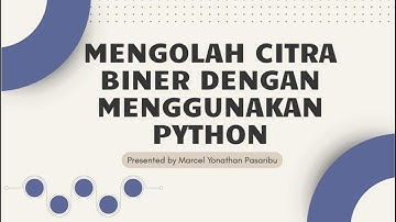 Cara Menampilkan Nilai Piksel dan Histogram Citra Biner dengan Python