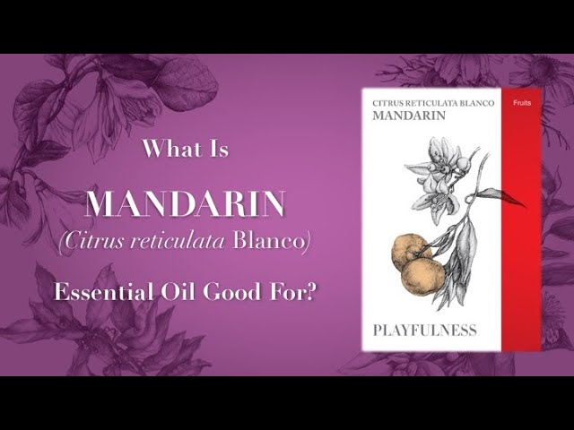 What is Mandarin Essential Oil Good For?