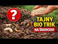 Prestaňte si tráviť pôdu! Tento bio trik vyhubí škodcov