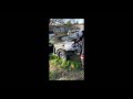 Classic car guy is live! Home Depot mission ￼