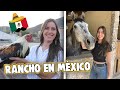 PRIMERA VEZ visitando un RANCHO en MÉXICO... | Alemana en México🤠🇩🇪🇲🇽