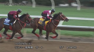 2024 ブリーダーズカップ】フォーエバーヤングなどJRA所属馬7頭の調教
