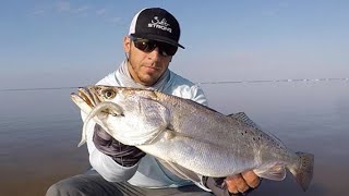 This Is Why You Should Use Light Line When Inshore Fishing