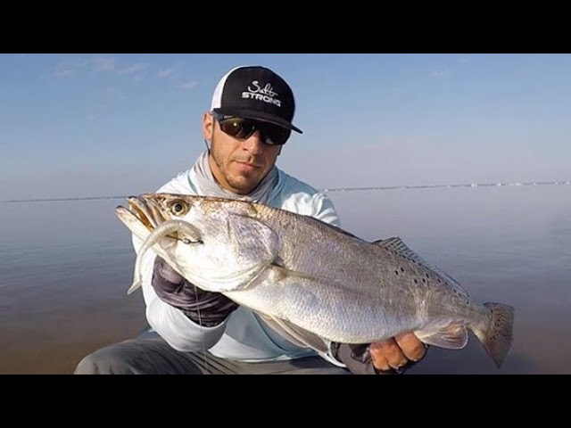 4 Reasons To Use Light Line When Inshore Fishing 